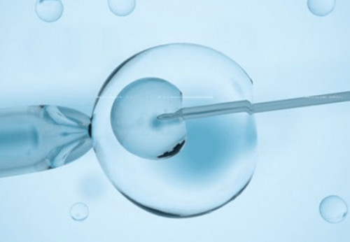 全国未婚做三代试管_代孕费用明细一览表,补佳乐和克罗米芬吃法介绍