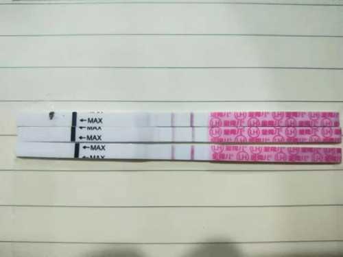 代孕的过程,西藏试管婴儿多少钱呀