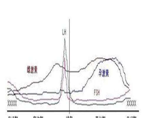 咨询试管助孕代怀公司香港找试管助孕代怀医院供卵试管助孕代怀价格