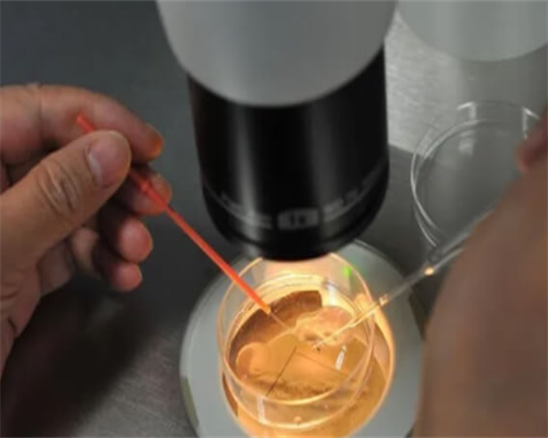 最靠谱的代孕机构, 泰国试管婴儿指南 流程费用清单赶紧收藏