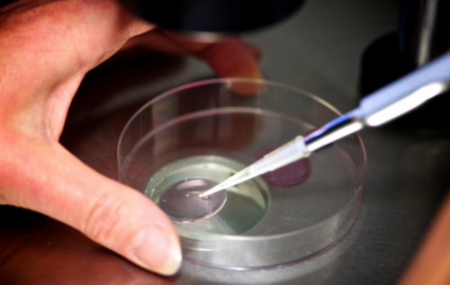 代孕品牌,试管一代二代三代费用差别