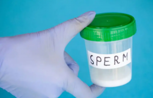 香港供卵助孕方案捐卵要多久时间用胚胎找人代怀