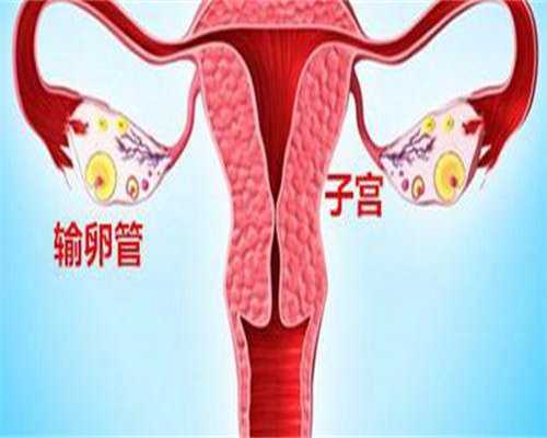 现在能代孕吗,试管公司告诉你如何保胎