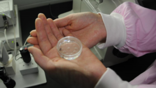 内蒙全包代孕,北京三代试管婴儿哪里可以到黄体酮！附明细一览！