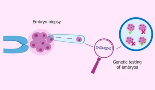 代孕包生儿子,多囊试管空囊还能做试管吗？还有这几种办法！