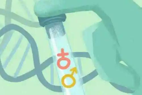 吐鲁番试管助孕包男孩供卵可靠吗价格试管助孕包男孩代生哪家好