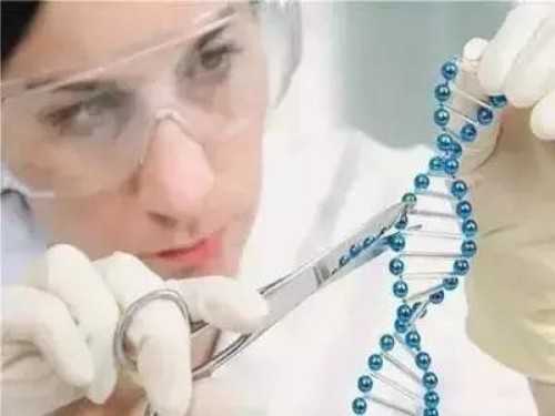 卵巢巧克力囊肿怀孕概率(卵巢巧克力囊肿能不能怀孕)