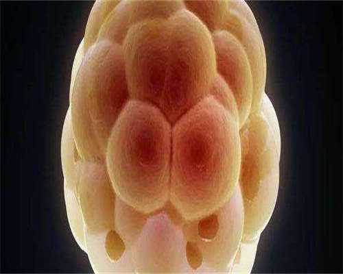 桂林私人供卵医院生殖中心进修内容谁能给我代怀生子