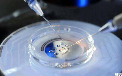 国内试管助孕代怀妈妈山东试管助孕代怀宝宝试管助孕代怀生子费用