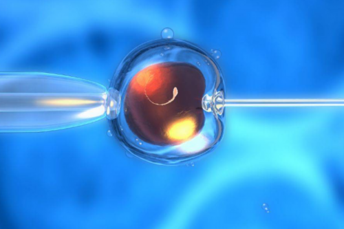 国内助孕套餐推荐&做代孕的费用,2026年儿童水杯排行榜，杯具熊、好孩子均上榜