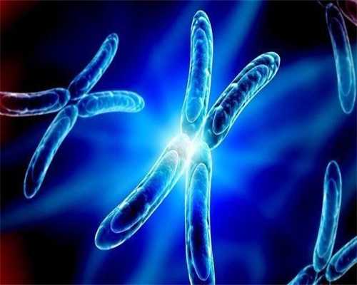 2026景德镇市妇幼试管成功率 景德镇市妇幼保健院试管费用