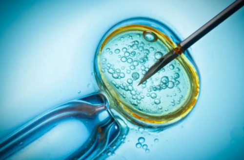 兰州医院供卵圆梦幸福双胞胎试管助孕包男孩代怀