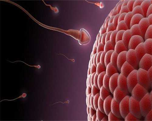 试管代孕男女,试管成功要花费多少钱(试管成功需要多少钱)