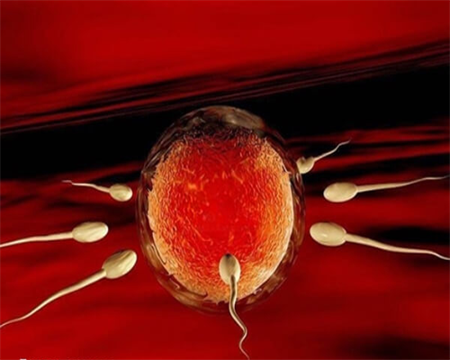 孕酮低会不会是宫外孕